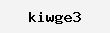 Verification code CAPTCHA (with code)