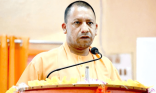 Yogi