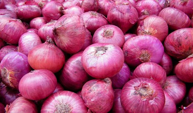 Onion_1