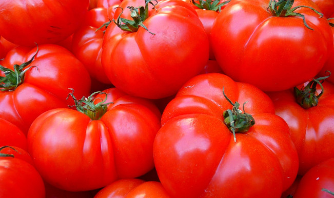 tomatoes-5356_1280